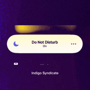 Indigo Syndicate - DND