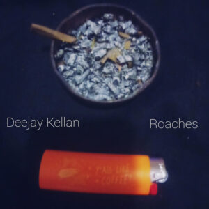 Deejay Kellan - Roaches
